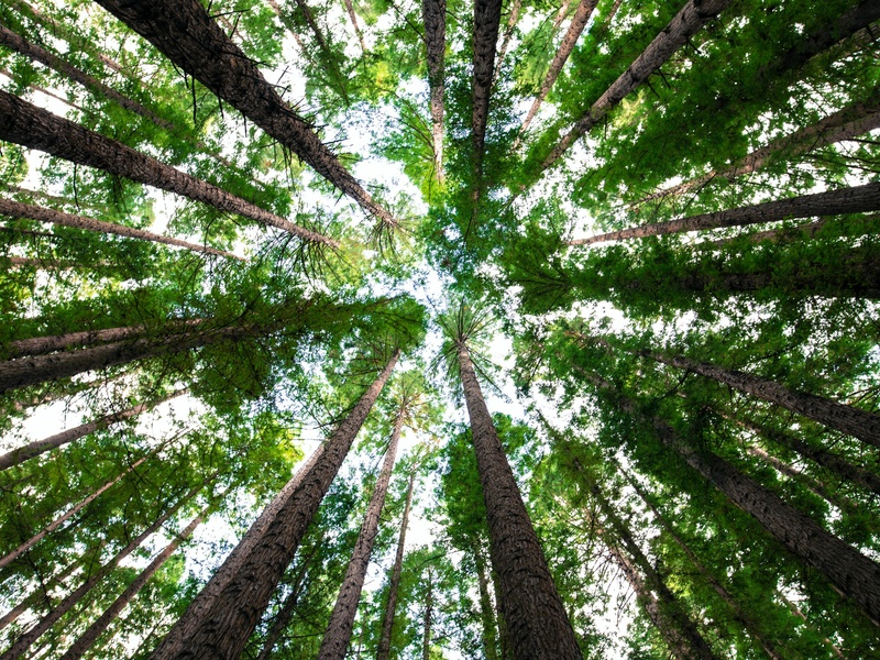 Environnement - Développement durable